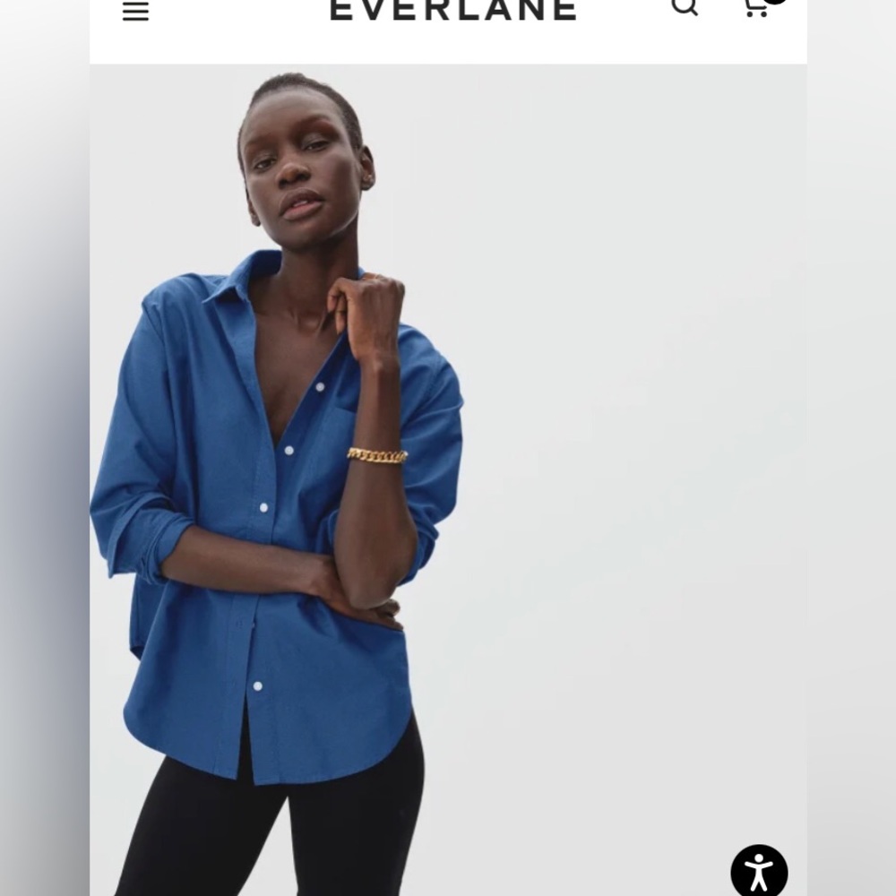 Everlane Relaxed Oxford shirt